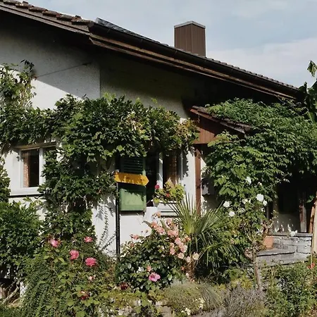 Nature's Getaway Apartamento *