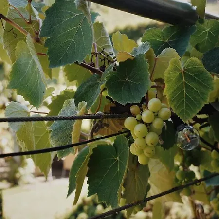 Nature's Getaway Διαμέρισμα
