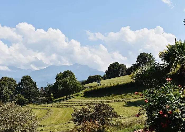 Nature's Getaway 施皮茨