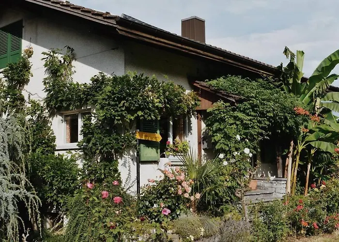 Nature's Getaway 公寓 *